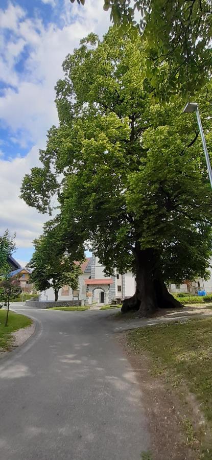 Apartmaji Mojca Country house