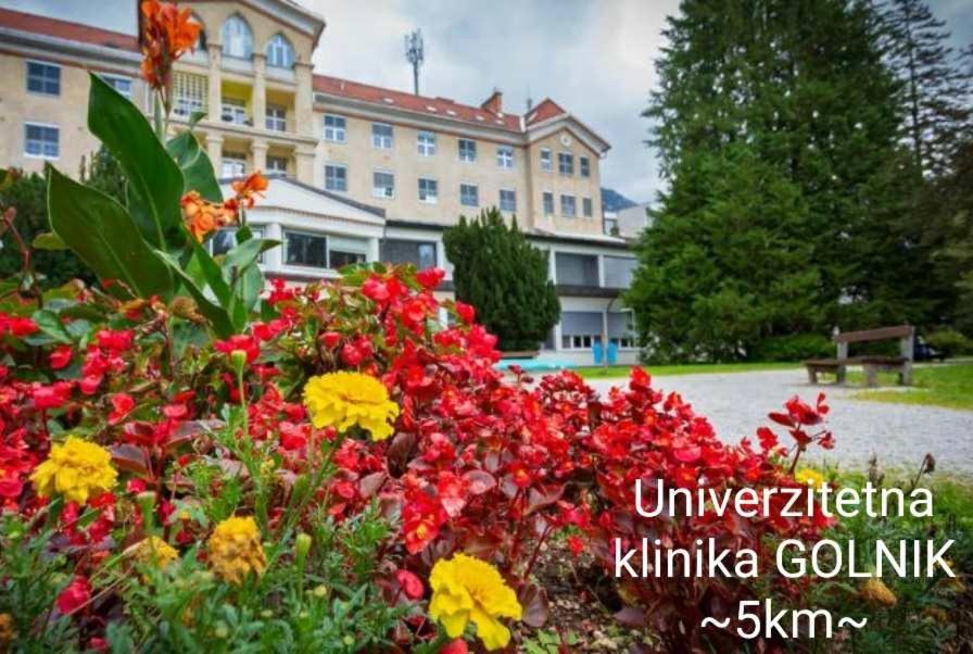 Apartmaji Mojca Country house Krize