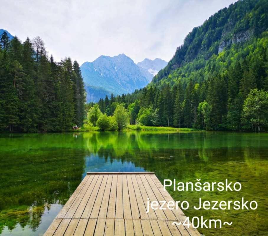 Apartmaji Mojca Krize