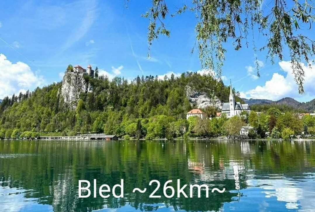 Apartmaji Mojca *