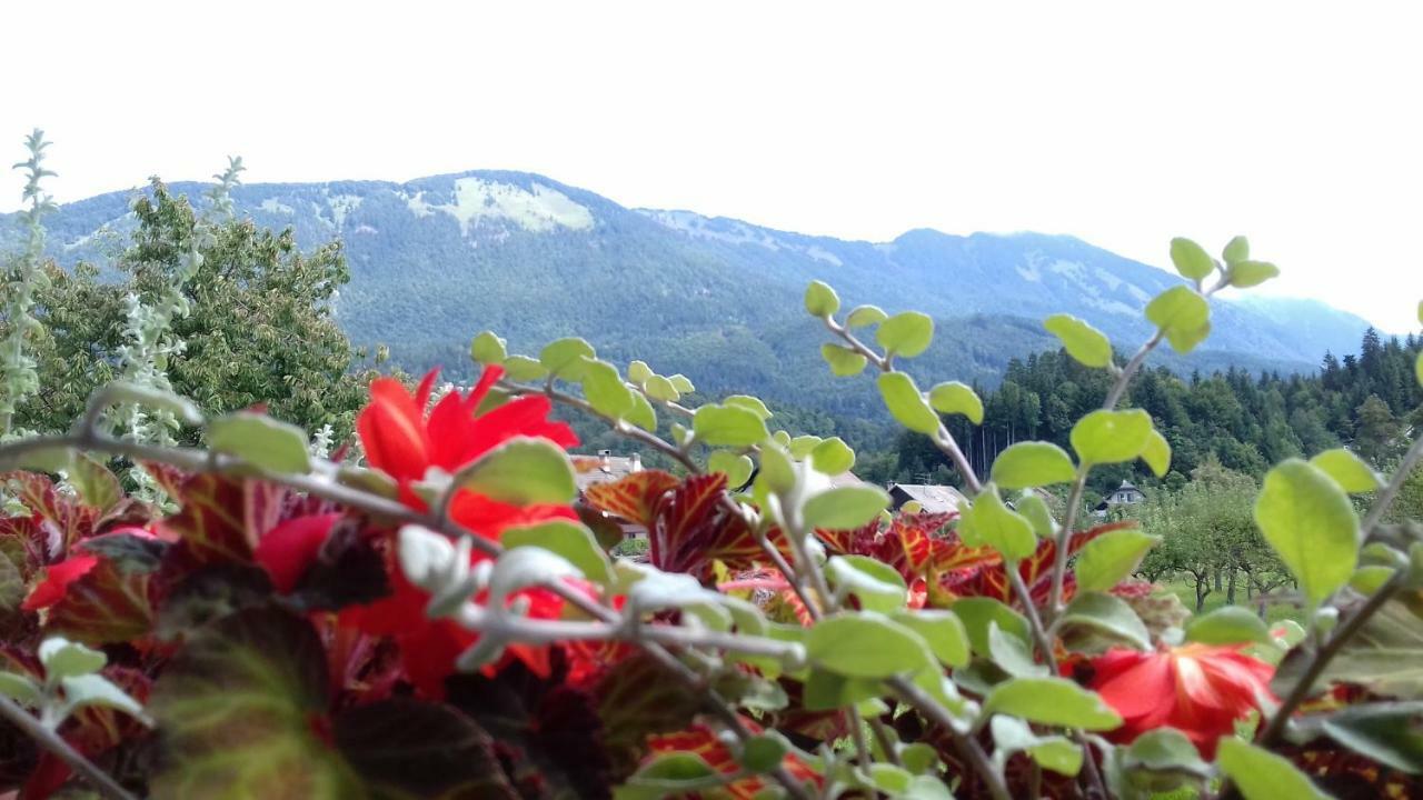 Apartmaji Mojca Country house Krize