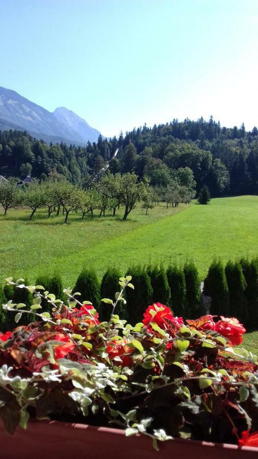 Apartmaji Mojca * Krize