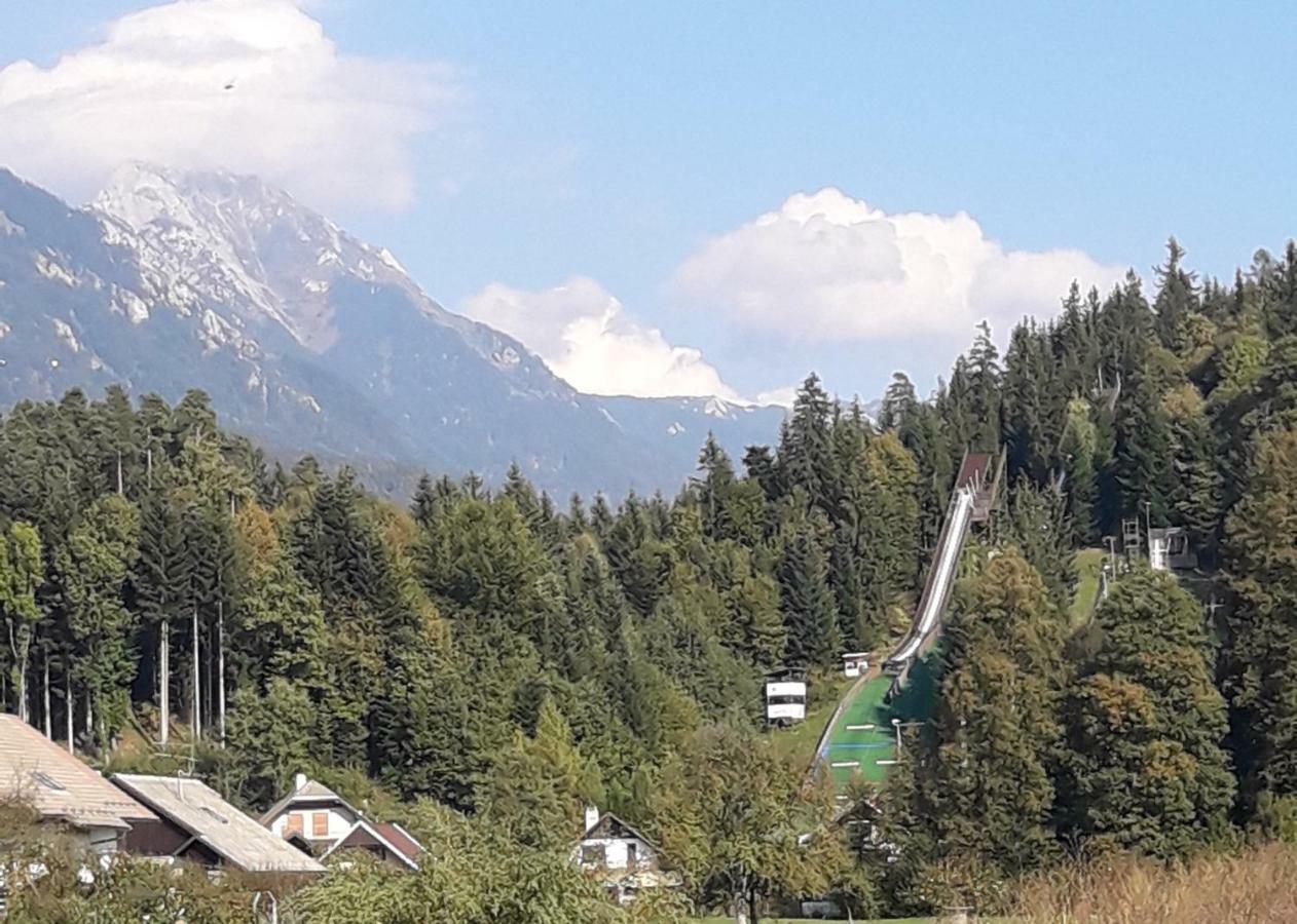 Apartmaji Mojca *